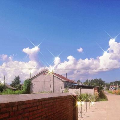 半岛彩票app下载